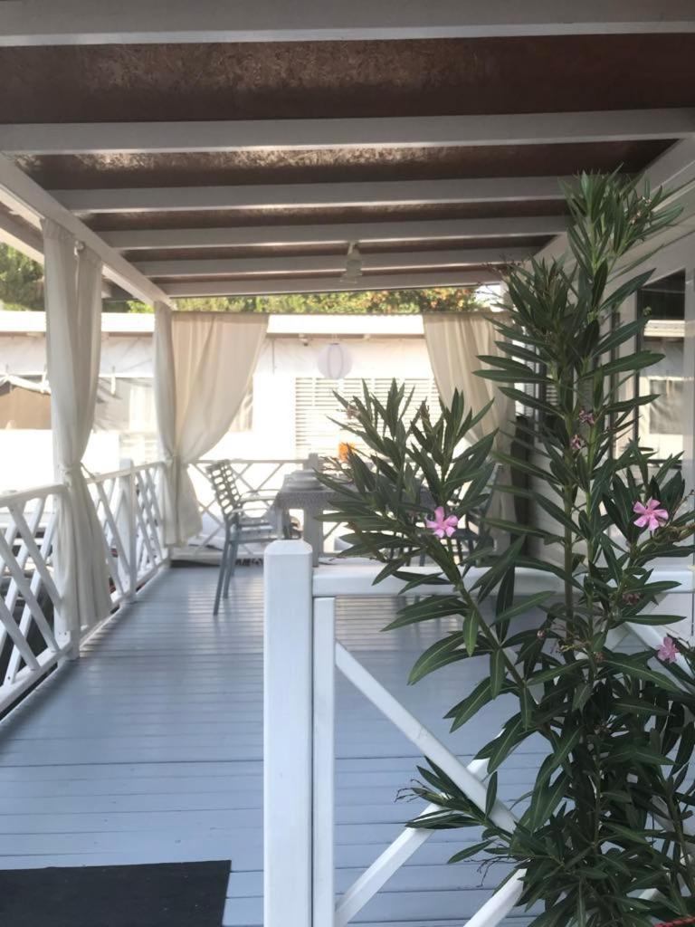 Apartman As Pirovac Exteriér fotografie